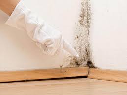  , USA Mold Removal Pros